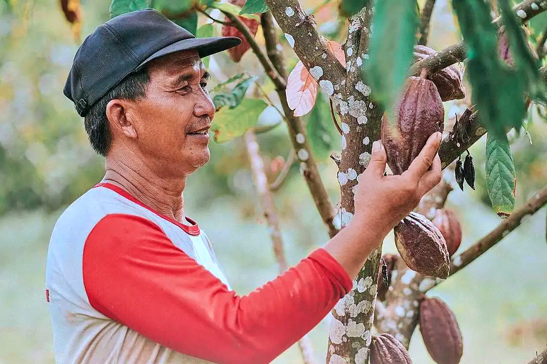 PT Wahana Interfood Nusantara Tbk (COCO) kembali menghadapi tekanan kinerja pada kuartal I-2025. (Foto: Dok. Wahana Interfood)