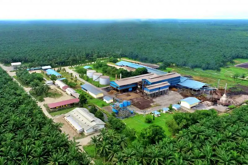  PT Cisadane Sawit Raya Tbk (CSRA) mencatat lonjakan kinerja signifikan hingga kuartal III 2025. (Foto: Dok. Cisadane Sawit Raya)