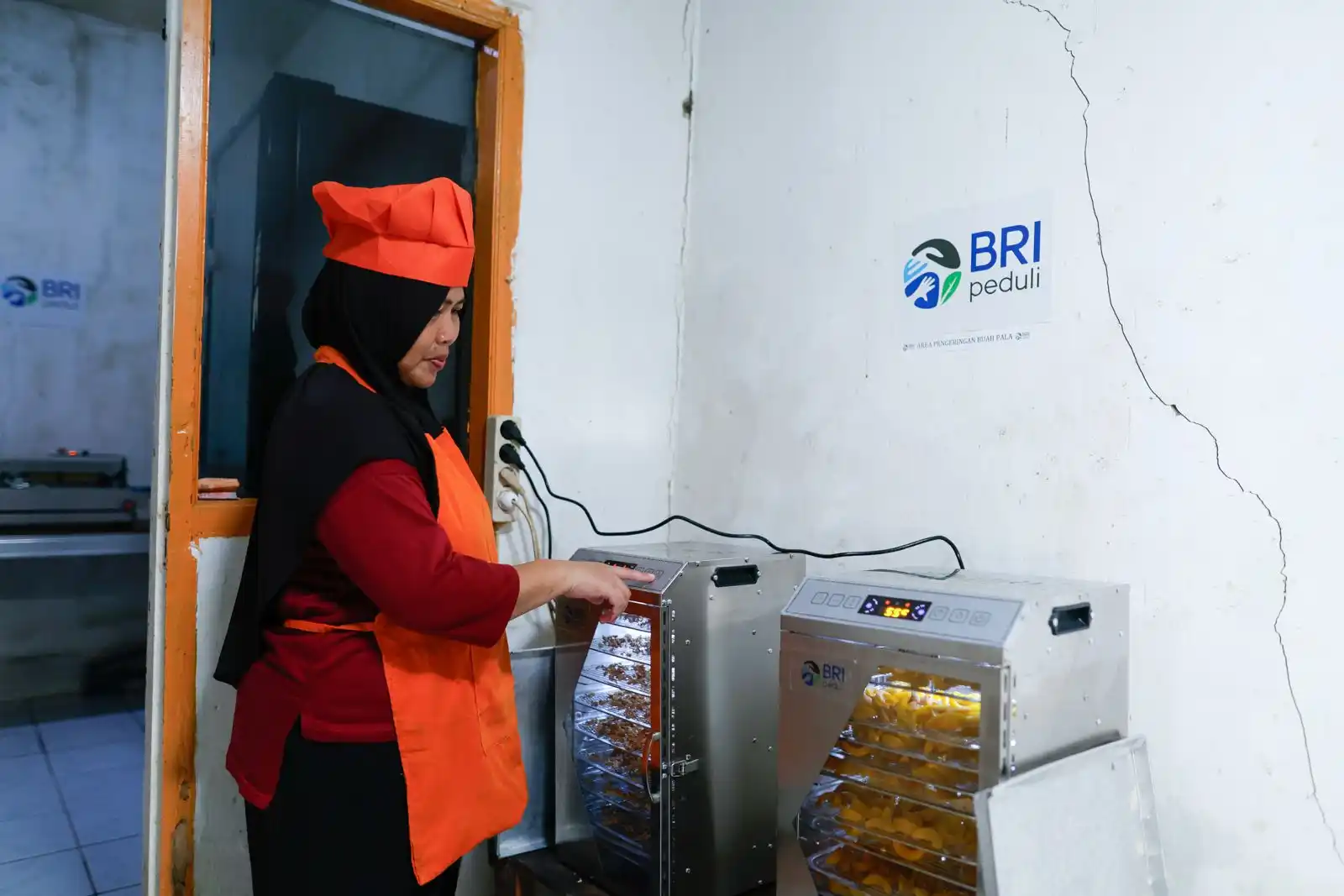 Lewat Program AURA, BRI percepat pengembangan usaha pengolah Pala di Bogor. Berikut kisah usaha KWT Bina Tani Mysari Pala. Foto: dok. BRI
