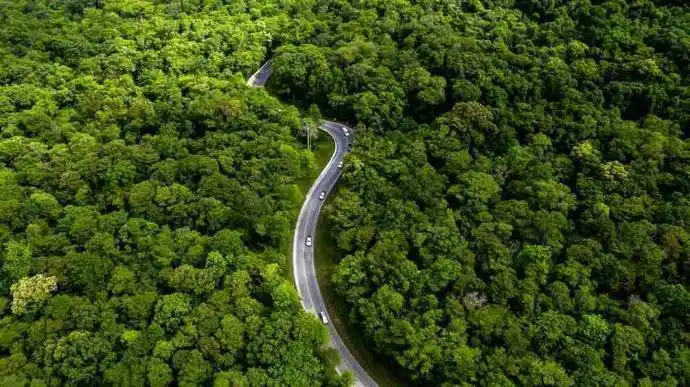 Ilustrasi penghijauan (foto: IDX Carbon)