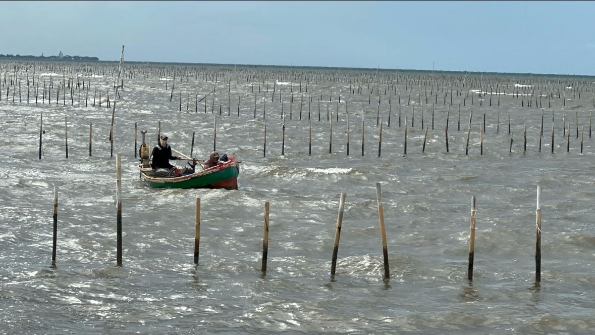 DPR Geram KKP tak Mampu Bongkar Dalang di Balik Pagar Laut 