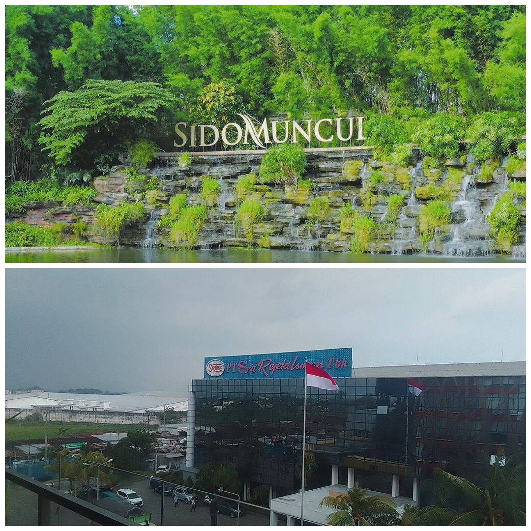 Sritex Pailit karena Utang, Kontras dengan Sido Muncul