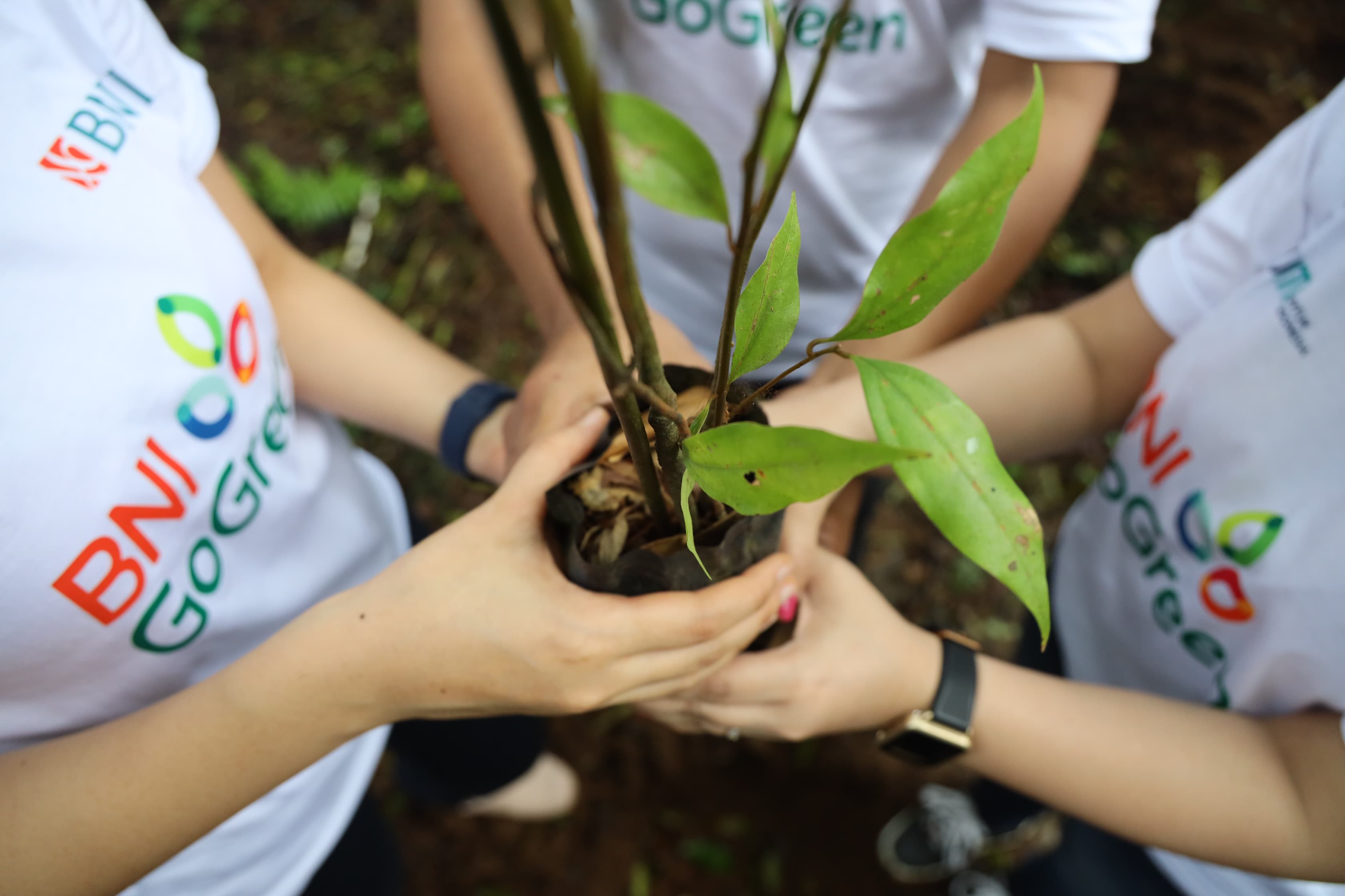 BNI Raih Asia Sustainability Reporting Awards 2024