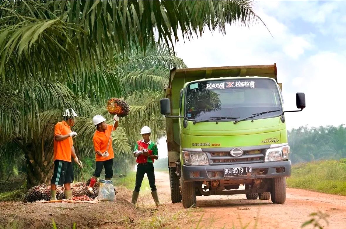 Minyak Sawit tak Akan Murah Lagi Gegara Biodiesel