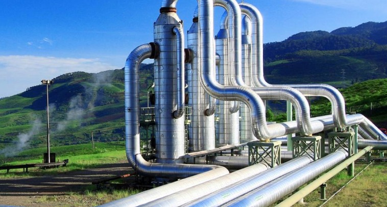 Menilik Proyeksi BRPT Usai Pendapatan 2024 Menurun