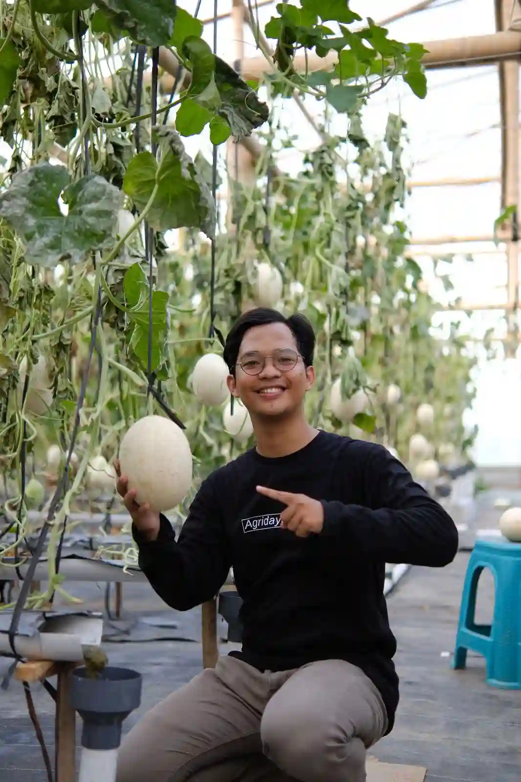Modal Rp100 Juta: Petani Muda ini Raup Omzet Puluhan Juta 