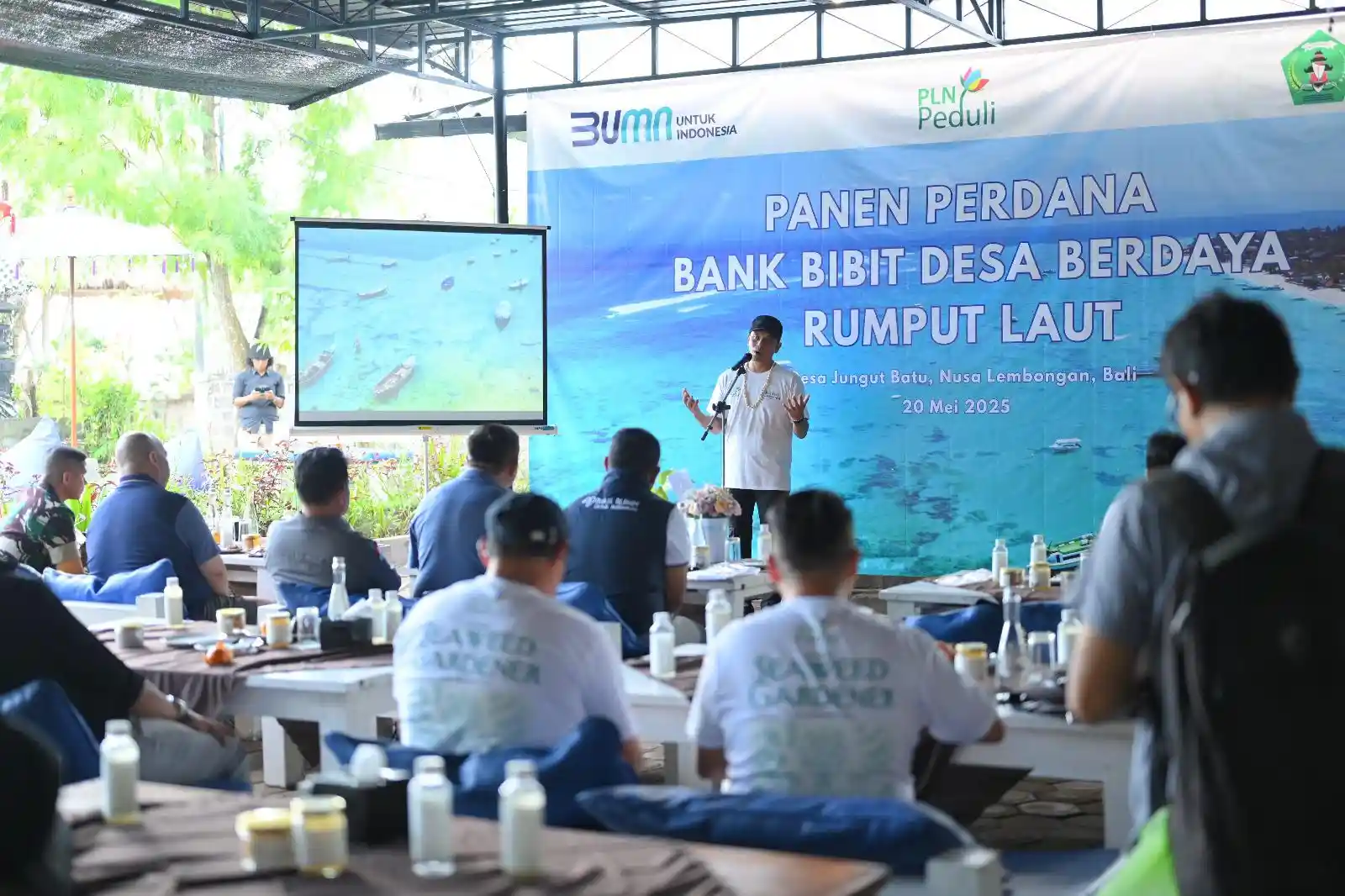 PLN Bangun Kemandirian Ekonomi Melalui Rumput Laut