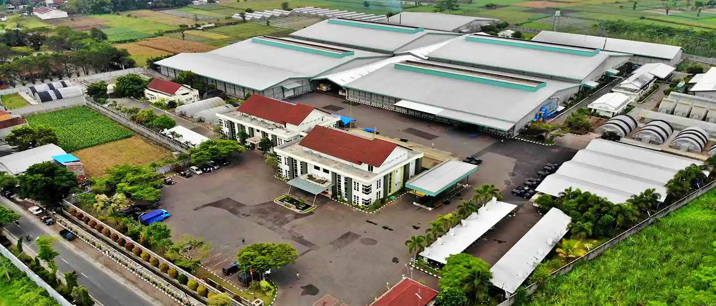 Impor Jagung AS Ancam Bisnis BISI hingga USD480 Juta