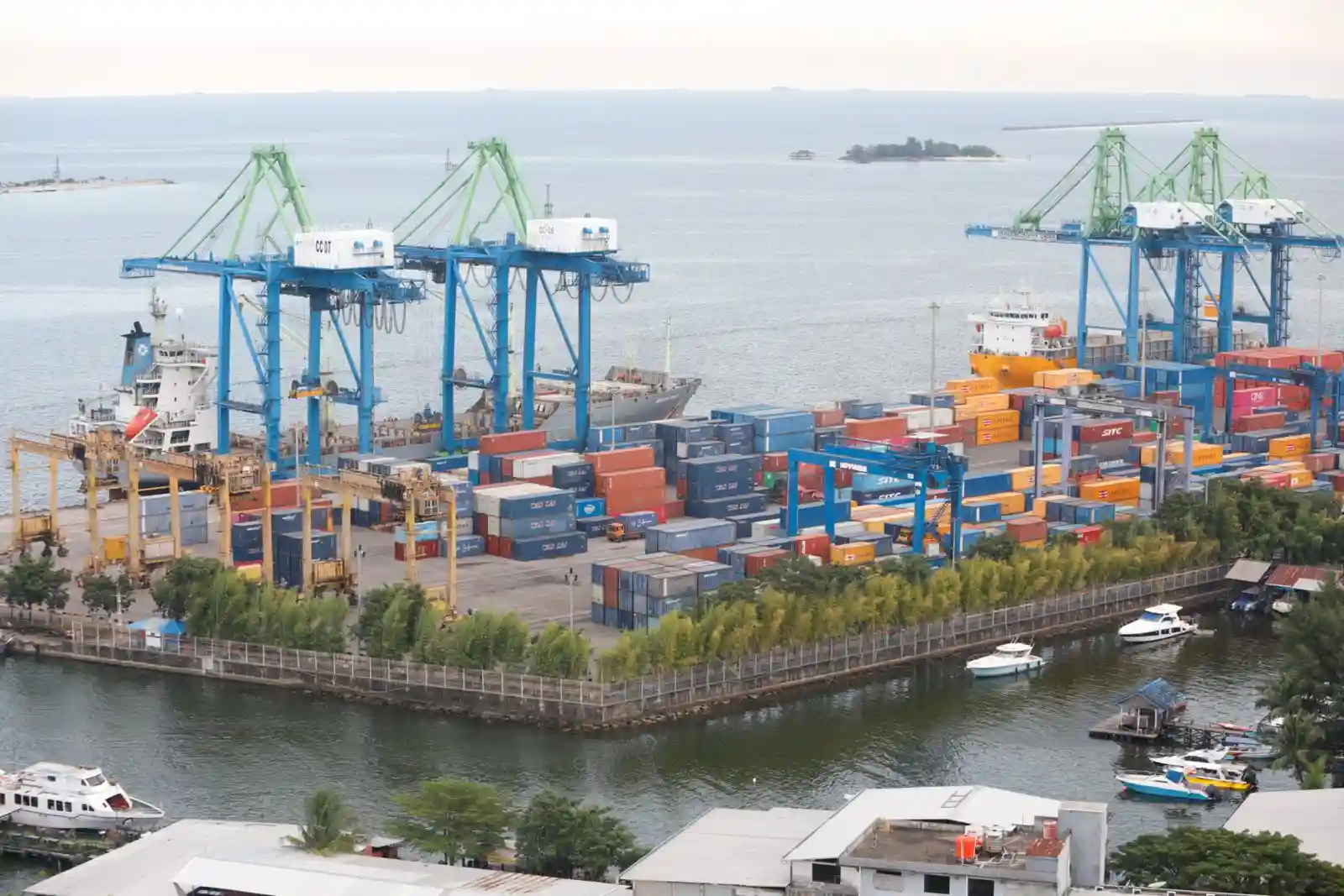 Ekspor 57,6 Ton Kopi ke China, Wamendag: SRG Jadi Senjata Strategis
