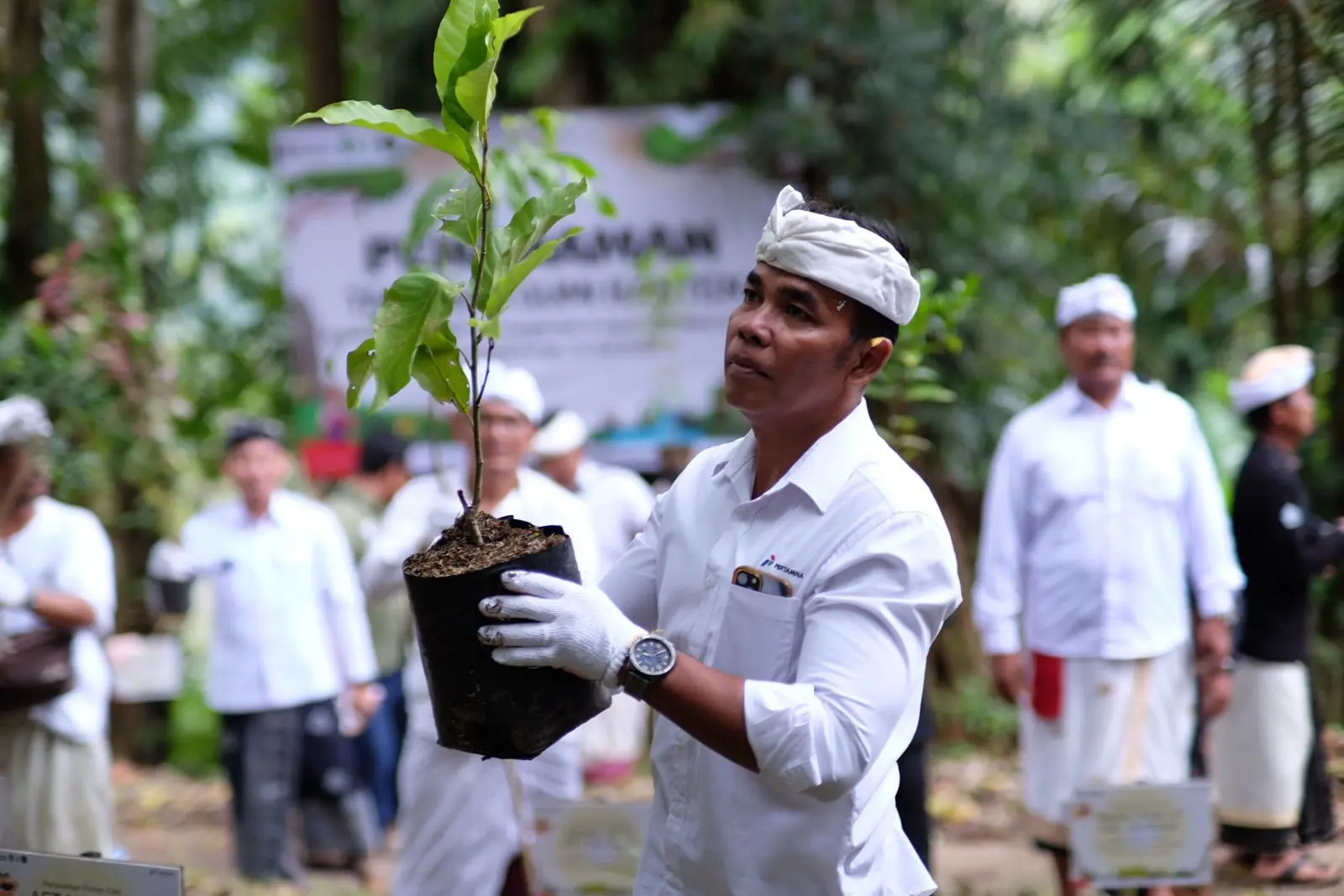 Perhutanan Sosial Pertamina, Jaga Lingkungan dan Tingkatkan Kesejahteraan