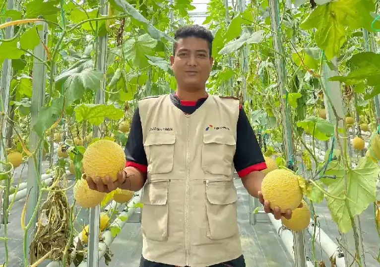 Pertamina Libatkan 10 Ribu Warga Lokal dalam Proyek Energi Hijau, Intip Manfaatnya