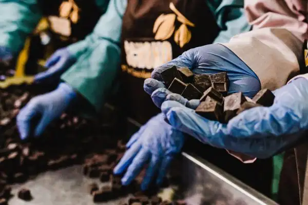 Saham COCO: Tong Kosong Nyaring Bunyinya?