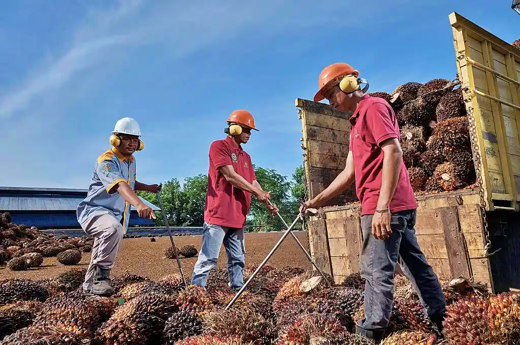 Sudah Enam Hari Asing Borong STAA, Trader Wajib Tahu ini