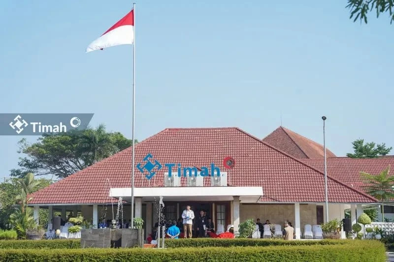 Dana Global Serbu Saham TINS, Aktivitas Beli Menguat