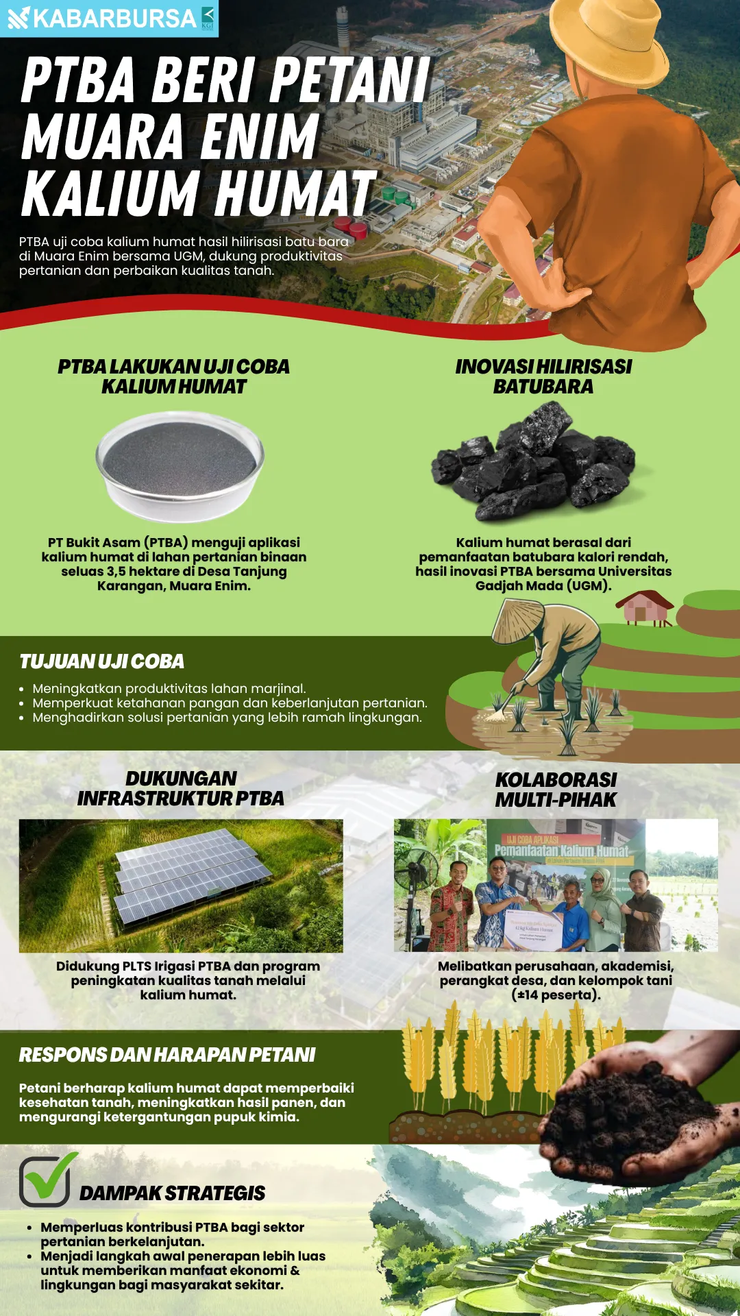 INFOGRAFIS PTBA Beri Petani Muara Enim Kalium Humat