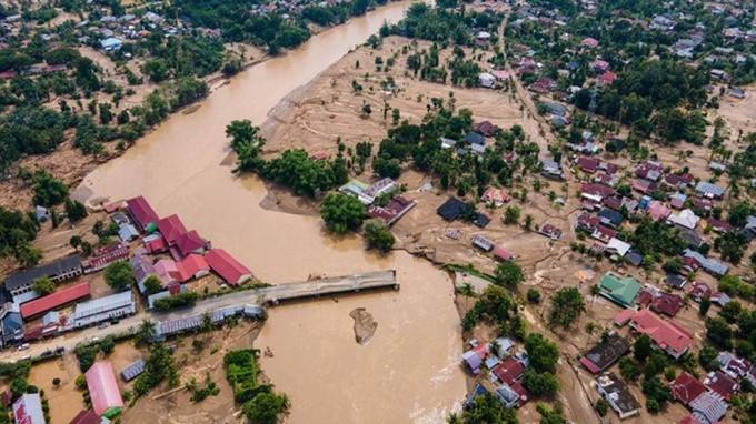 Kerusakan Sawah di Sumatra Picu Guncangan Pendapatan Petani dan Rantai Pasok Pangan
