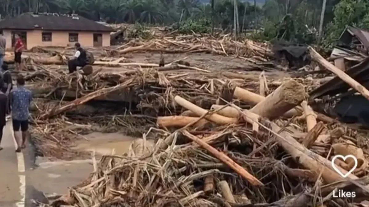 Pemulihan Pascabanjir di Aceh Tersendat: Kayu Gelondongan Jadi Polemik!