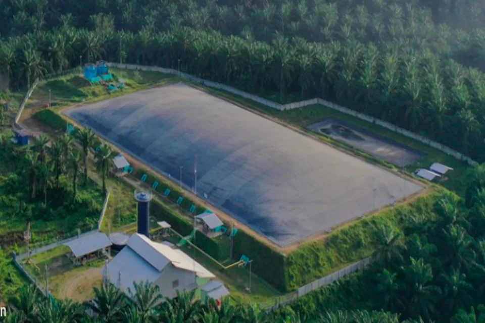 BWPT Kucurkan Modal ke Entitas Anak Sebesar Rp180 Miliar