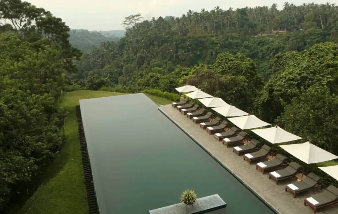 Saham BUVA Mengamuk, Reli Kencang Dibayangi Dilusi dan Valuasi Tinggi