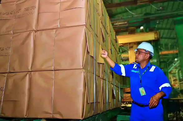 PBPH Disorot Pemerintah, INRU Resahkan Pasokan Bahan Baku