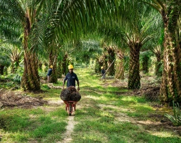Tak Ada Kontribusi, ANJT Hentikan Operasional Tiga Anak Usaha