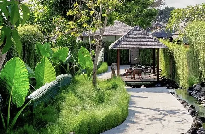 MINA Rebound dari Jurang, Siapa yang Menggerakkan Harga?