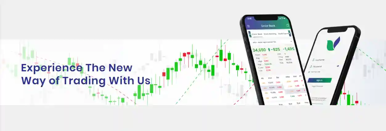 Asing Masuk Deras, Saham PADI Masih Ada di Dasar
