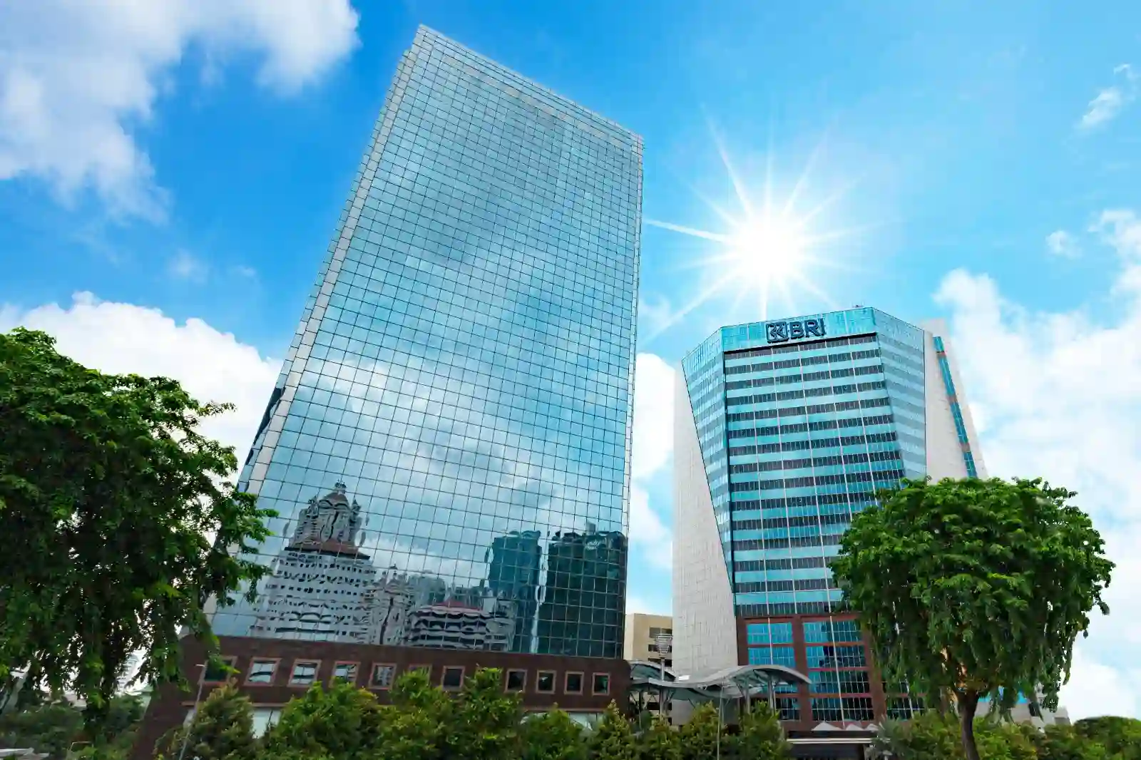 Mesin Laba Baru BRI, Anak Usaha Sumbang Profit Besar