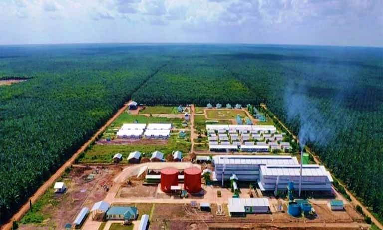 Harga TAPG Bertahan di 1.700 usai Ratu Batu Bara Borong Saham 