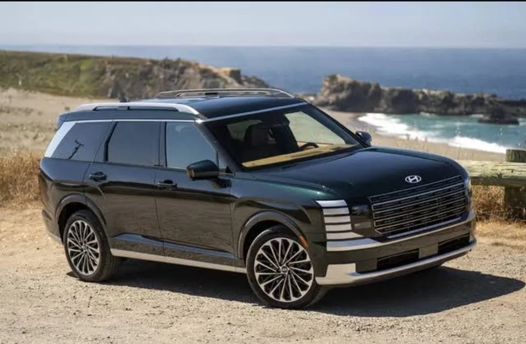 Hyundai Recall Puluhan Ribu Palisade, Ada Apa?