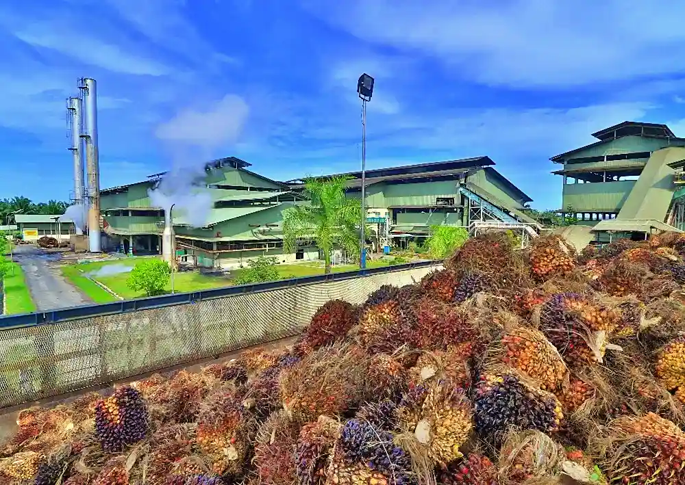 AALI Jadwalkan RUPST, Bahas Penggunaan Laba Bersih dan Perubahan Direksi