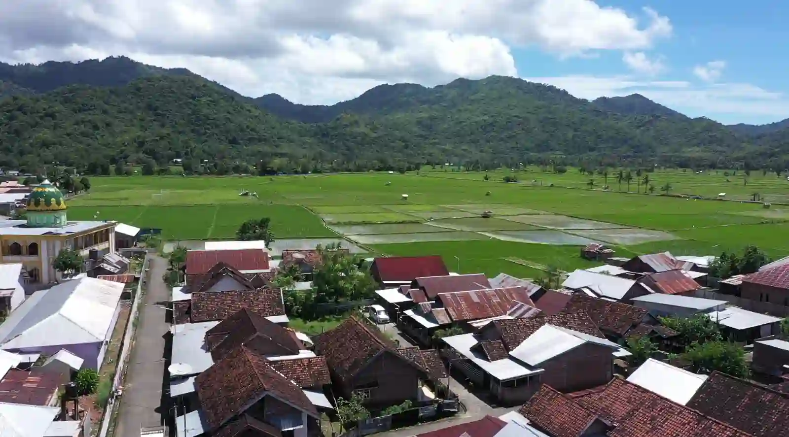 Desa Manemeng Kebut Bangun Ekonomi Lewat Desa BRILiaN BRI