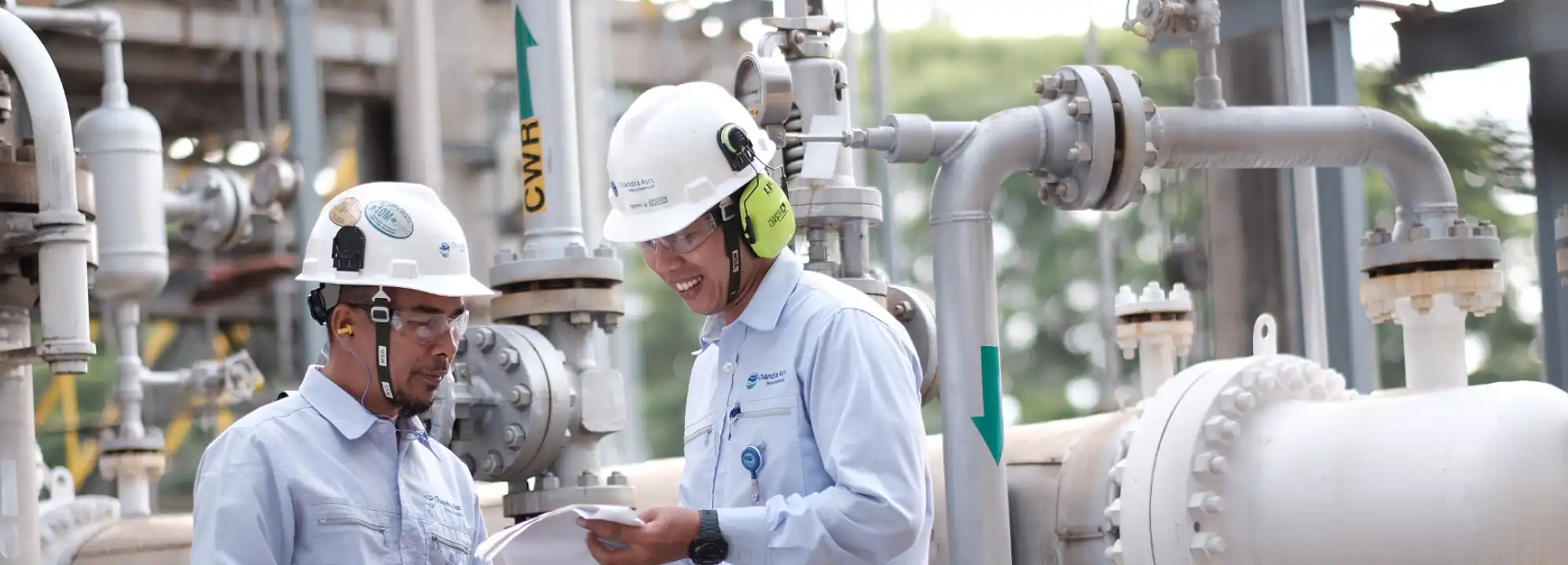 BRPT Bukukan Laba Besar, Buyback Jalan, Harga Masih Lesu