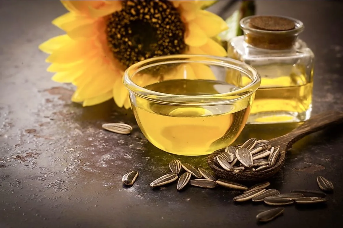 UGM Minta Bahan Bakar Nabati Jadi Tameng Energi RI di Tengah Volatilitas Minyak