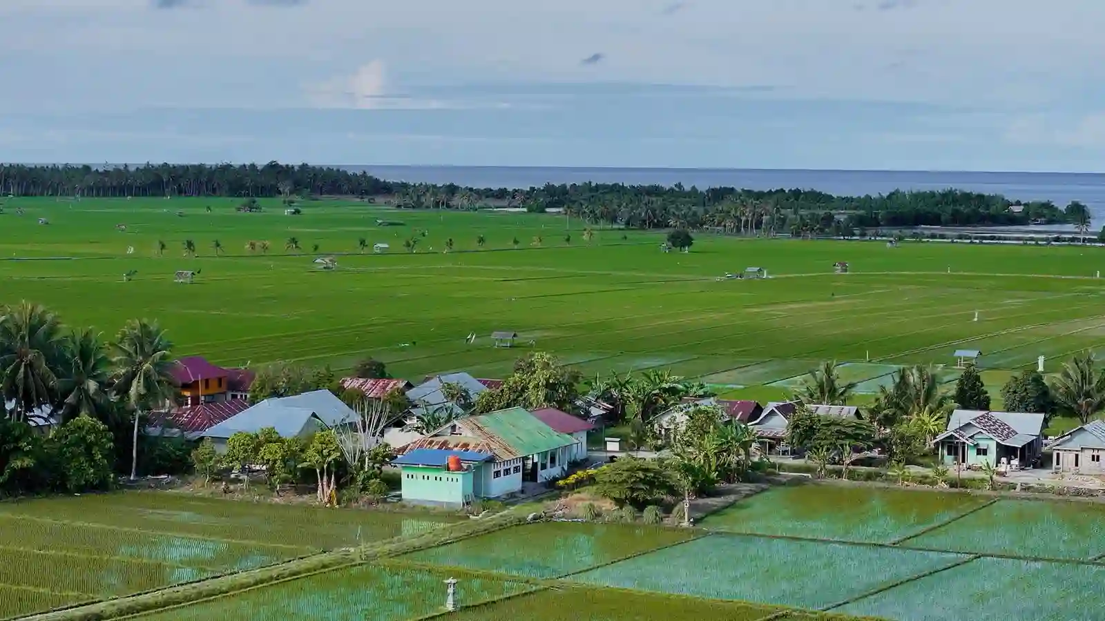 BRI Dorong Desa Sausu Tambu Bertransformasi, ini Hasilnya