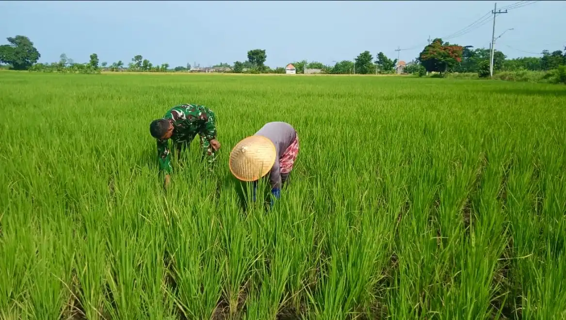 BRIN: Ancaman Iklim ke Ekonomi Indonesia Meningkat