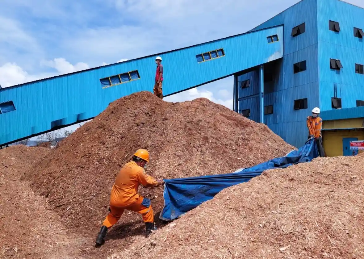 Cofiring Batu Bara Jadi Strategi Transisi Menuju Energi Lebih Bersih