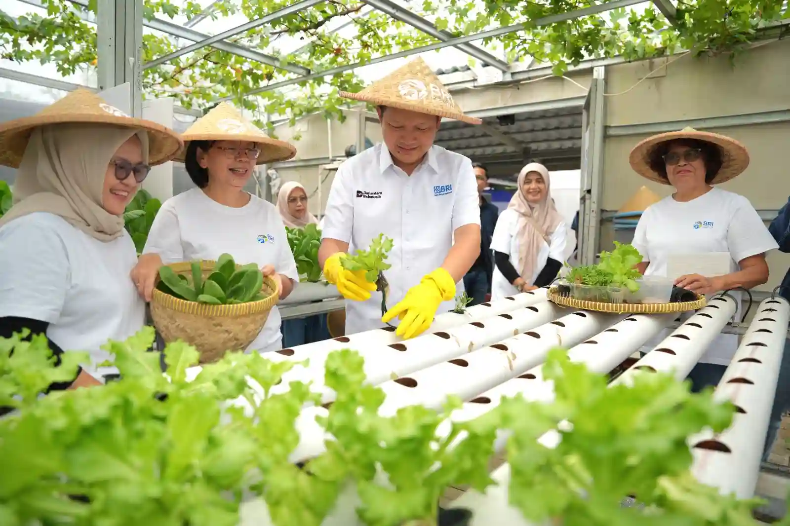 Program BRI Sulap Lahan Kosong Jadi Bernilai