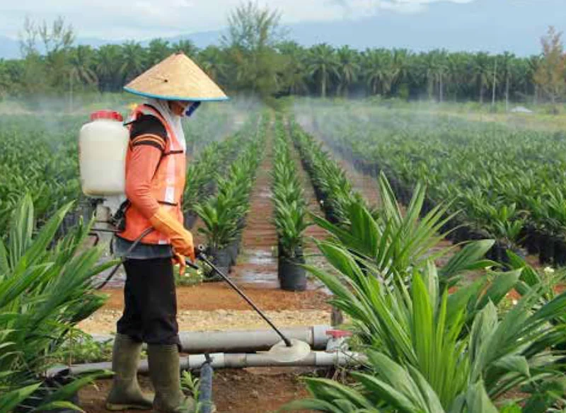 PT Bakrie Sumatera Plantations (UNSP) Konversi Utang jadi Saham