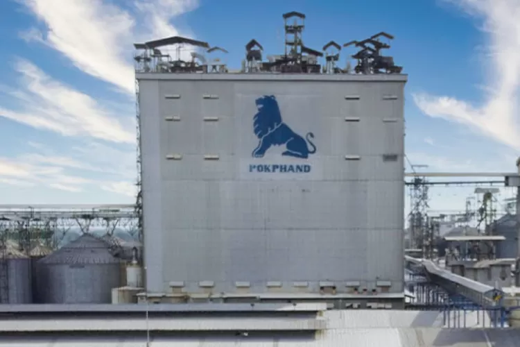 Kinerja CPIN Solid, Valuasi Masih Relatif Menarik