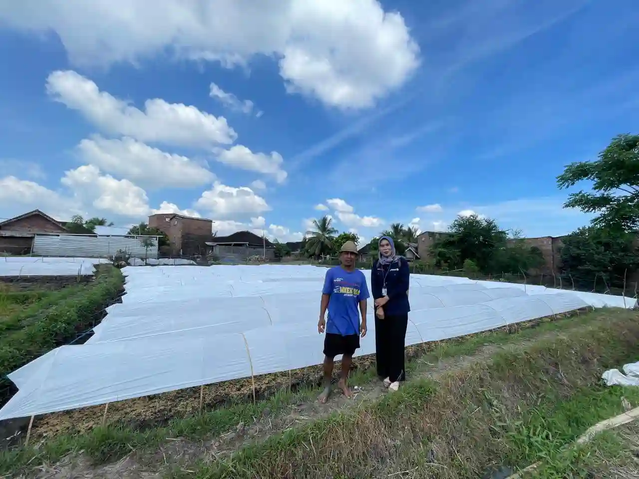 Kisah Mantri BRI di Lombok Dorong Ekonomi Petani