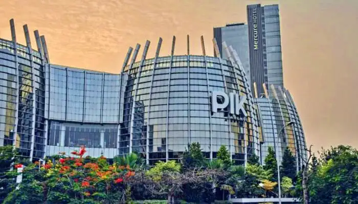 PANI Rebound dari Zona Tekanan, Investor Mulai Masuk?