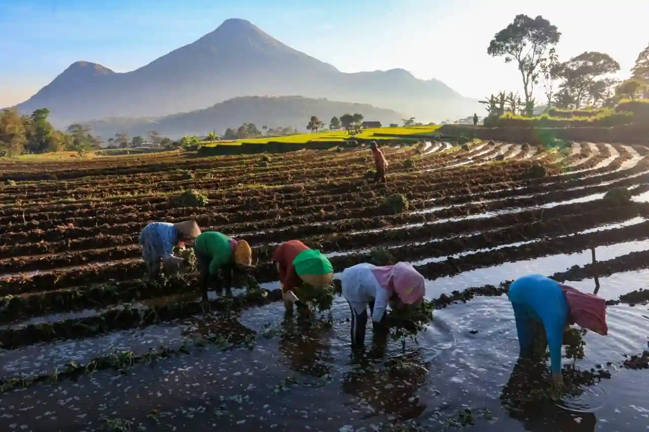 BRI Genjot Green Loan dan UMKM hingga Rp815,4 Triliun