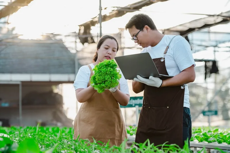 Kadin Gandeng KLH Perkuat Hilirisasi Hijau dan Green Jobs