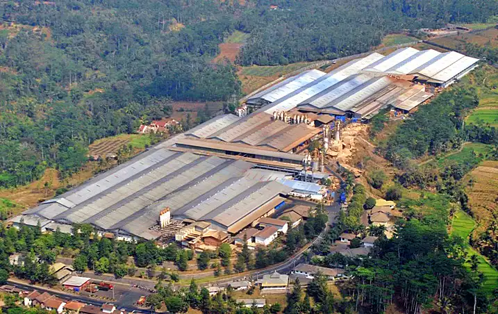 Ditagih BEI soal PP Ekspor SDA, DSNG Sebut Bisnis Sawit Aman