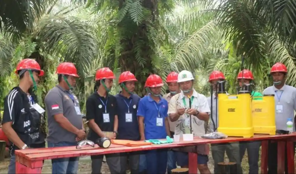 Dividen Jumbo TAPG Capai Rp3,57 Triliun, Berikut Jadwalnya