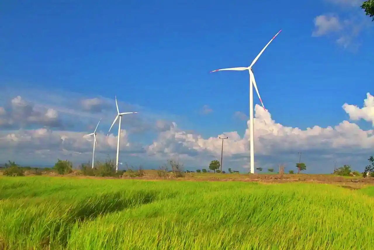 RI Kembangkan Skema Blue Carbon Financing untuk Biayai Konservasi Laut